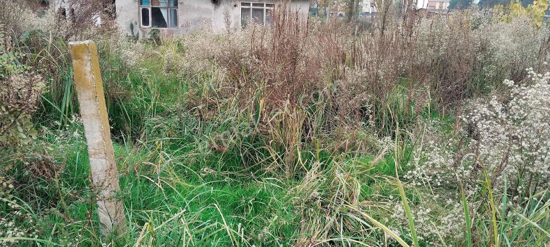 Çarşamba Costal Satılık Tarla - Görsel 16