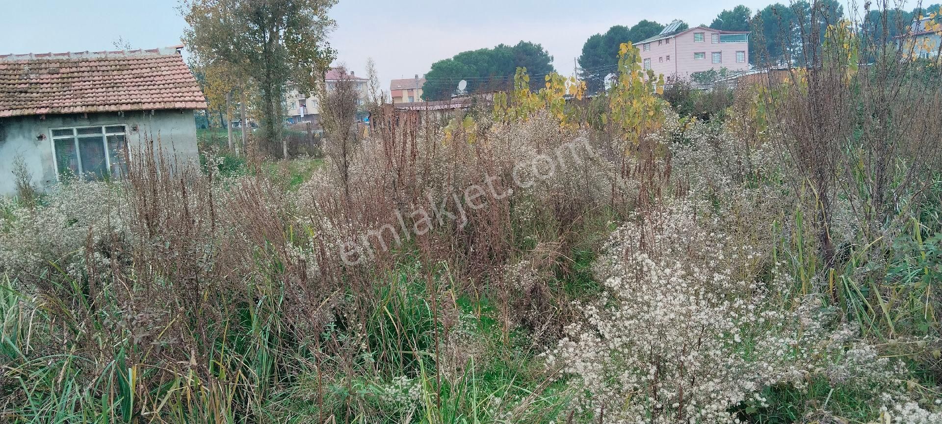 Çarşamba Costal Satılık Tarla - Görsel 13