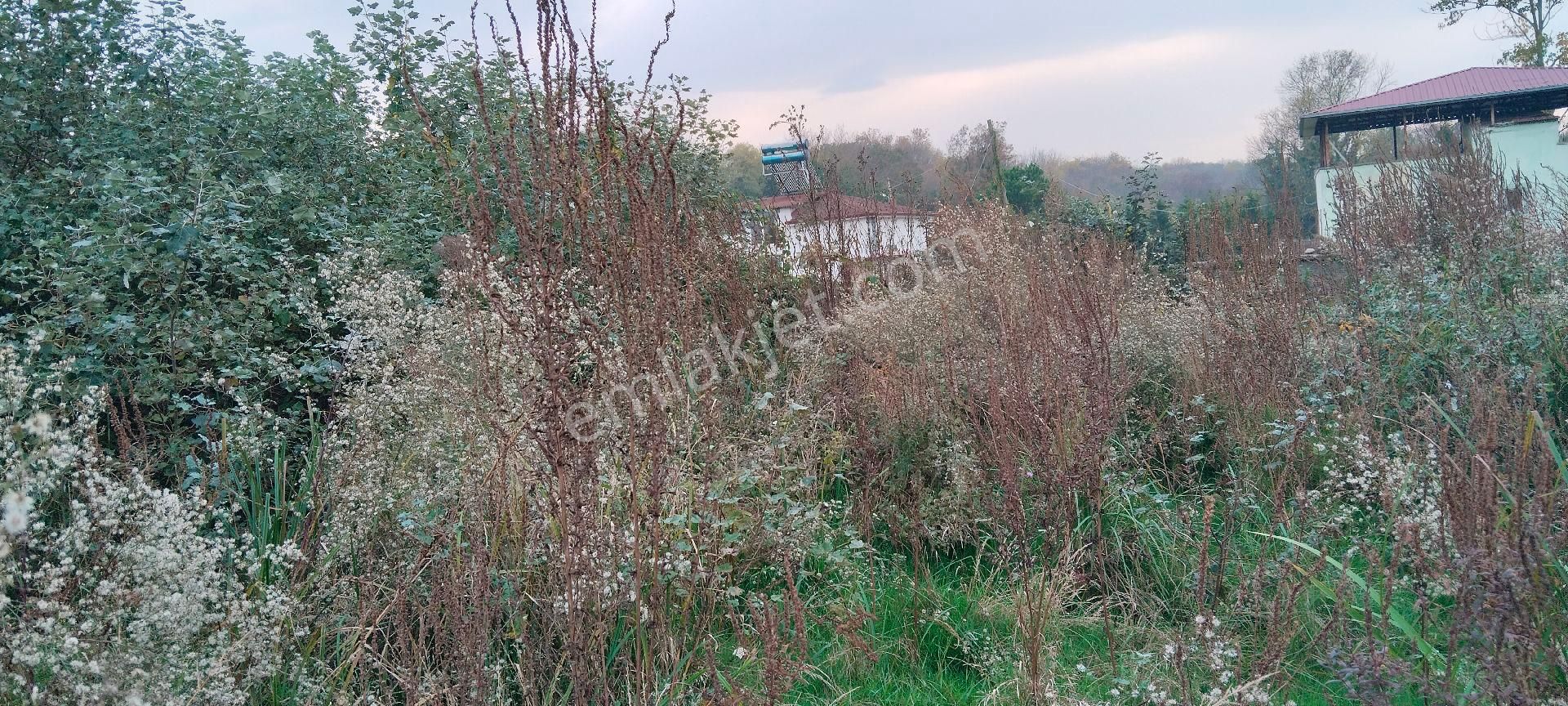 Çarşamba Costal Satılık Tarla - Görsel 10