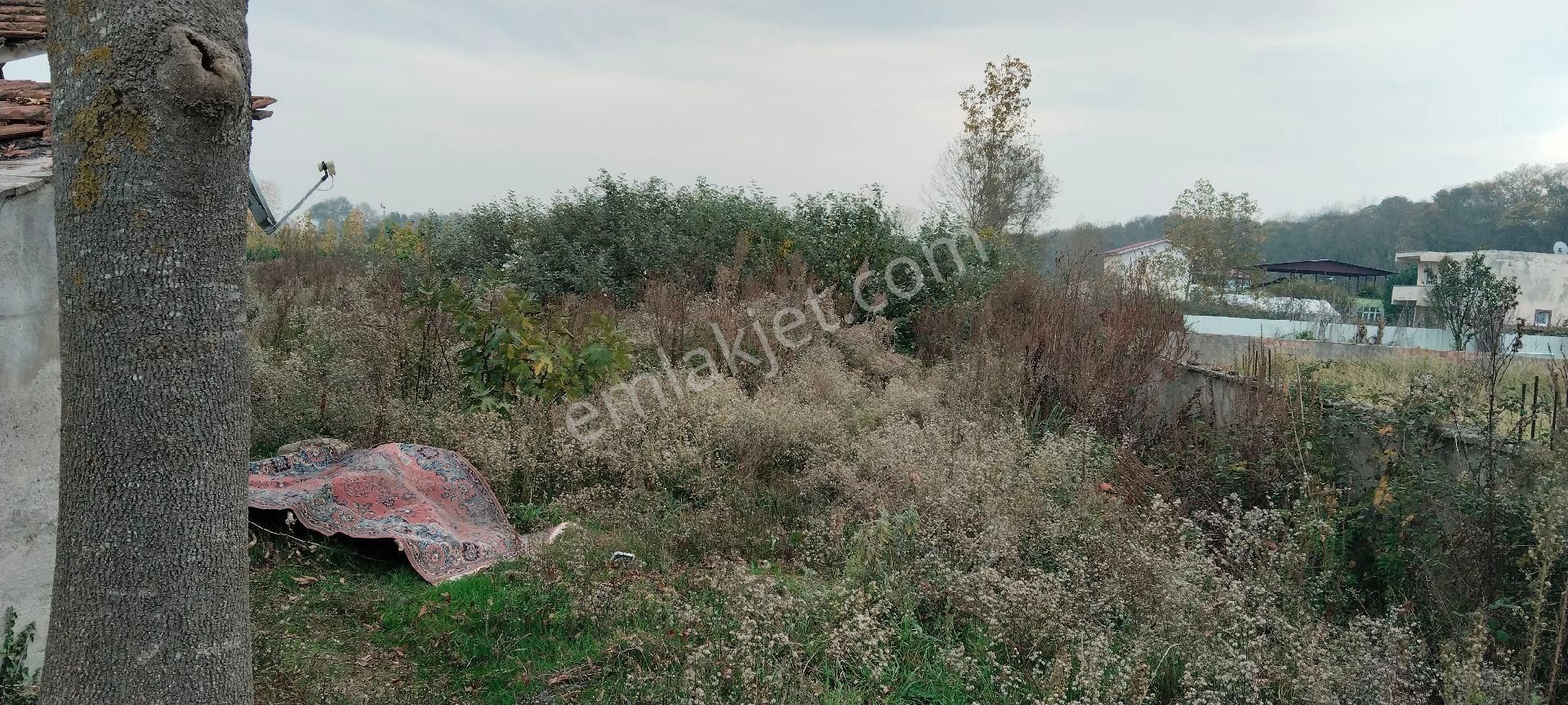 Çarşamba Costal Satılık Tarla - Görsel 4