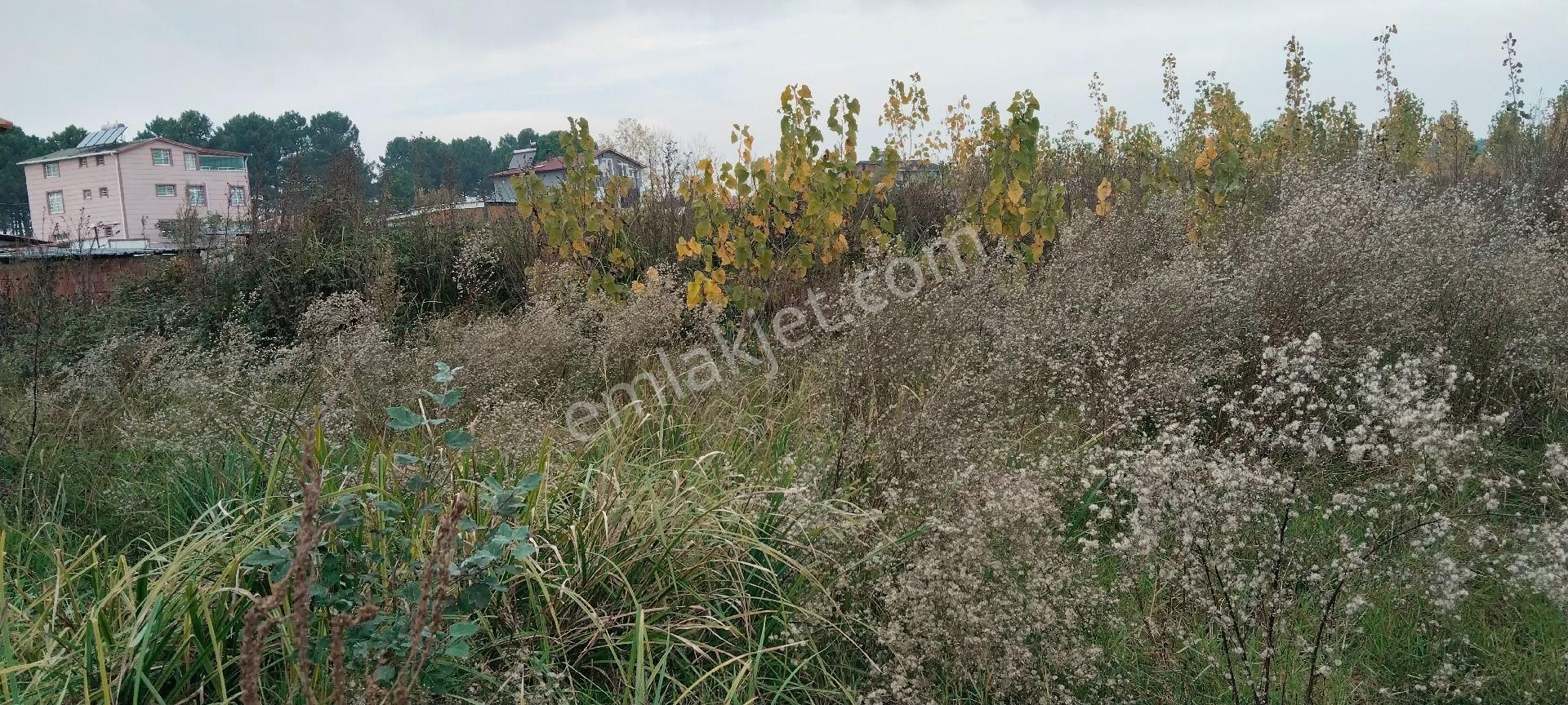 Çarşamba Costal Satılık Tarla - Görsel 9