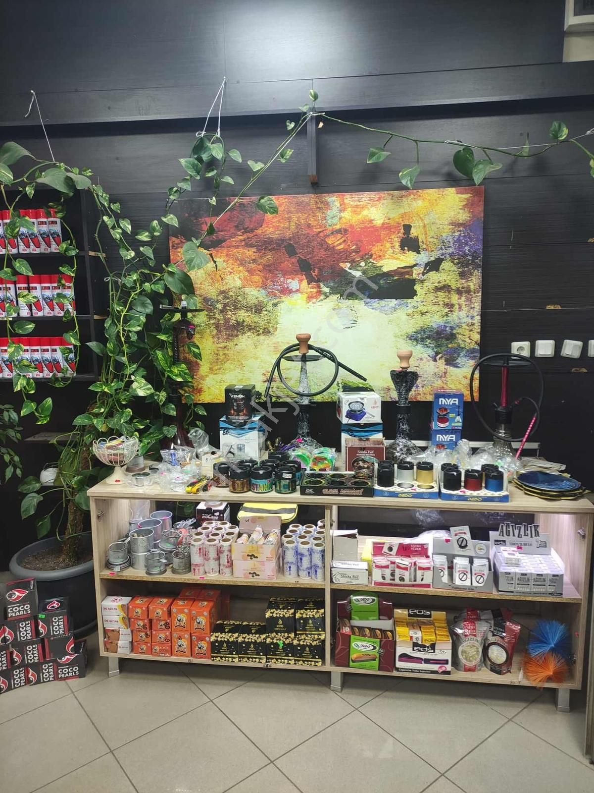 Devren Tütüncü Dükkanı - Yüksek Ciro Ve Hareketli Cadde Üzerinde - Görsel 10