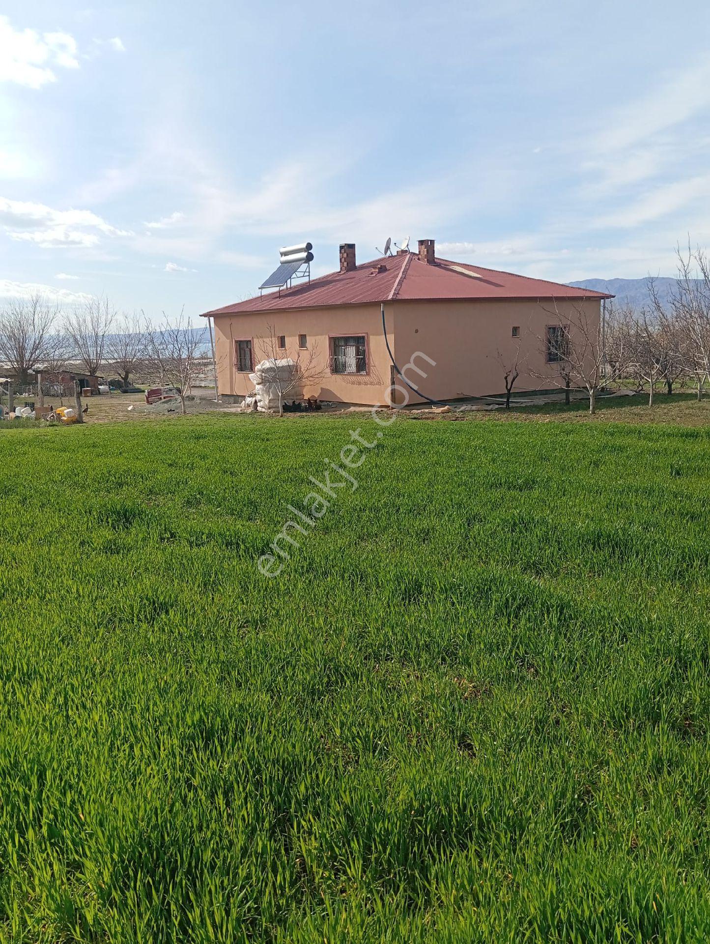 Zerteric Te Satılık Bağ Bahce Ev - Görsel 32