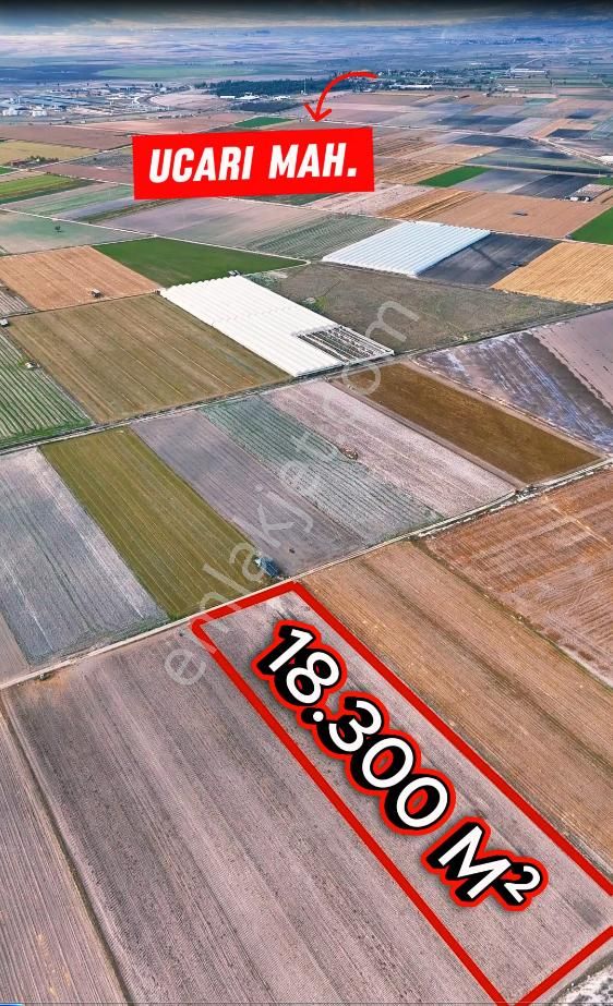 Şahin Emlaktan Denizli Acıpayam Yeşildere Mah.satılık 18.300 M² Arazi - Görsel 2