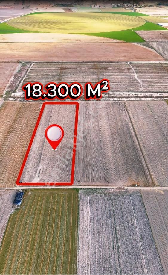Şahin Emlaktan Denizli Acıpayam Yeşildere Mah.satılık 18.300 M² Arazi - Görsel 5
