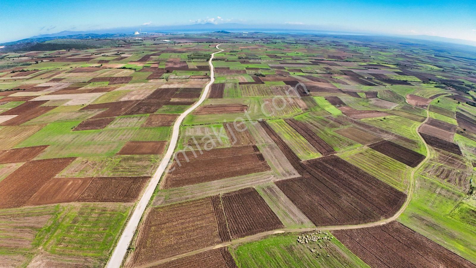 Çanakkale Gelibolu'da Satılık Satılık Arsa Geliboluda Denize Yakın Fırsat Bır Daire - Görsel 23