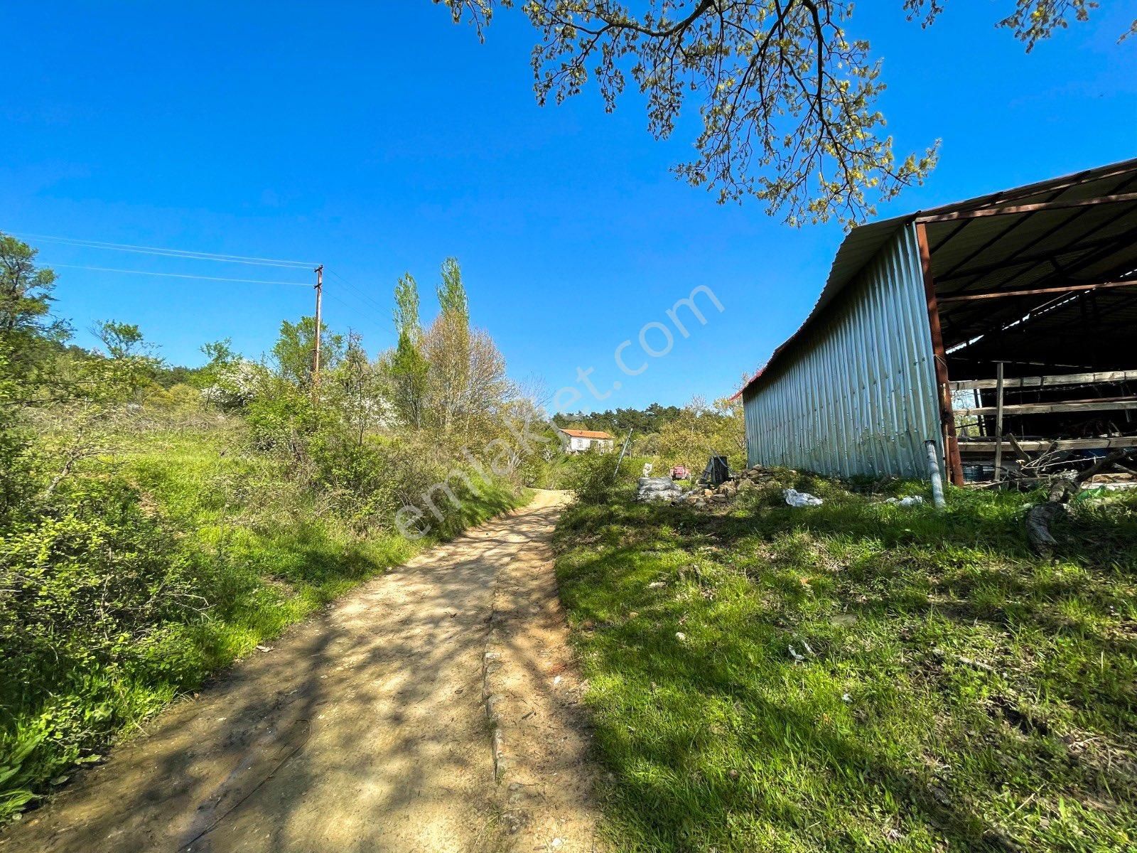 Fırsat Arsa Acil Satılık Fırsat Fırsat - Görsel 17