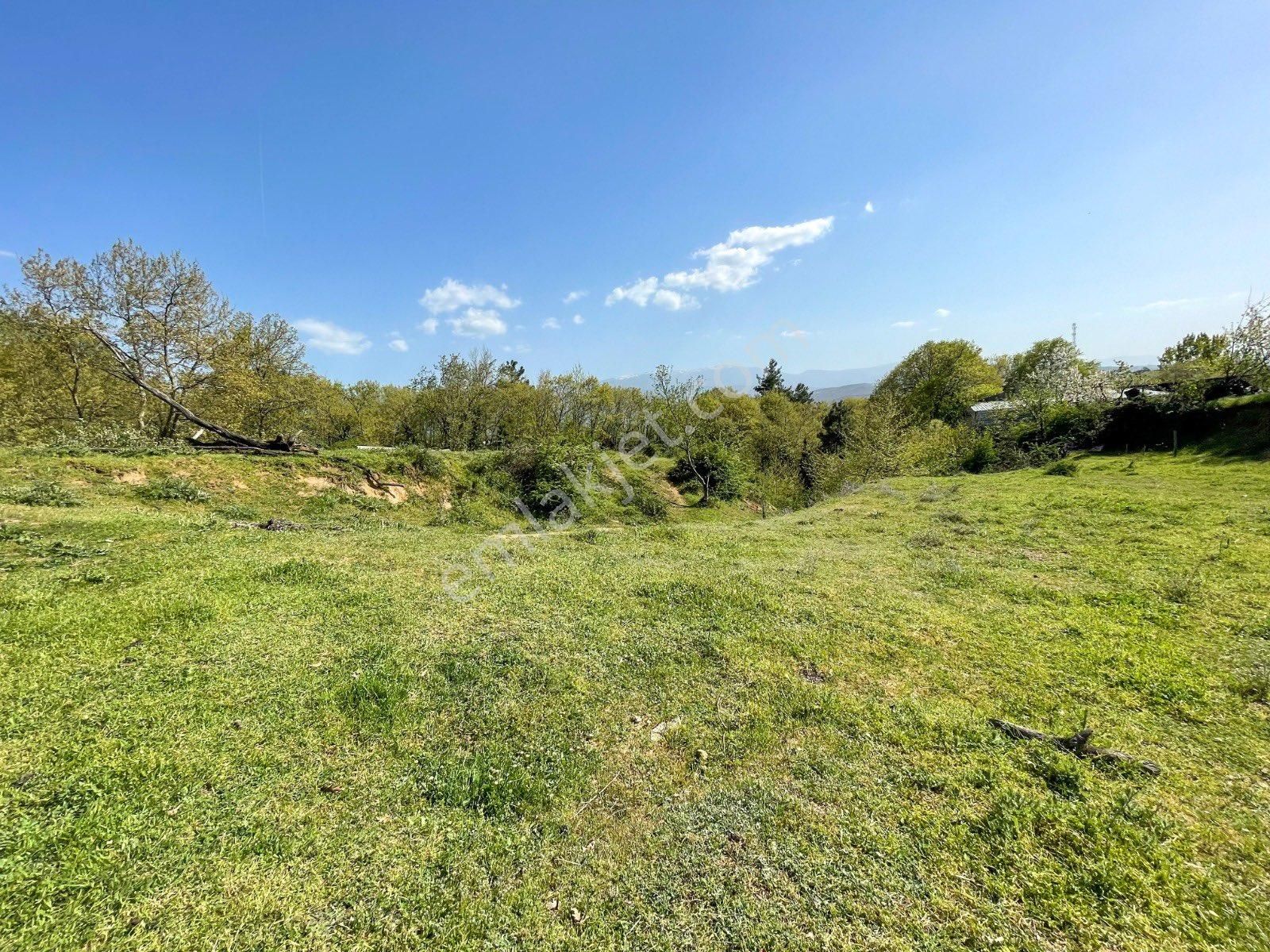 Fırsat Arsa Acil Satılık Fırsat Fırsat - Görsel 11