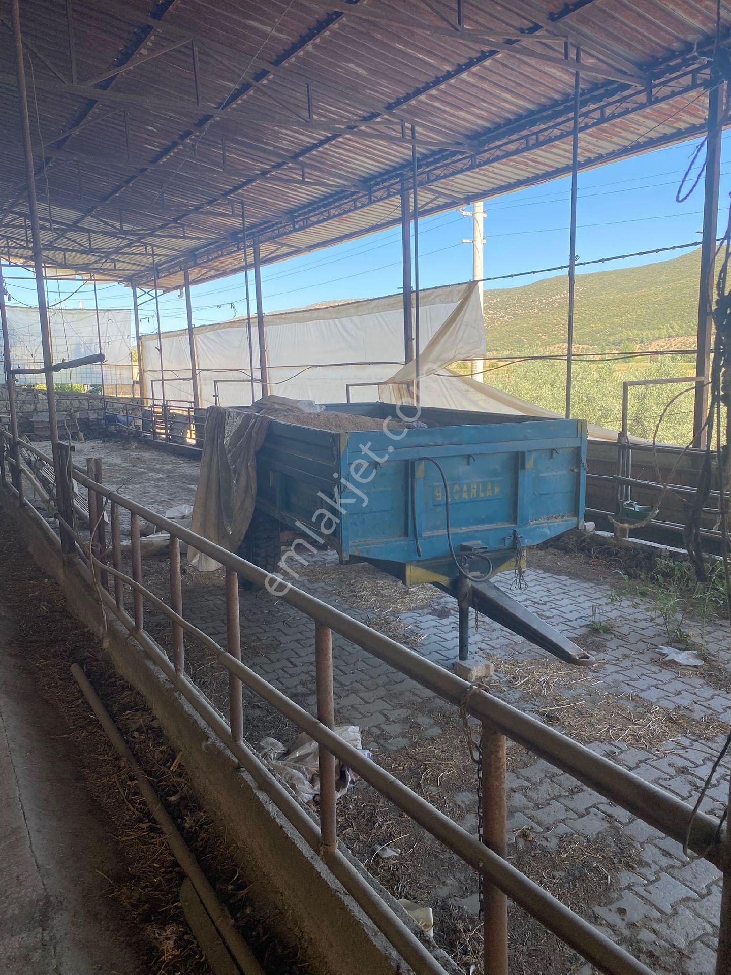 Satilik Arsa Kurşak Köyü - Görsel 4