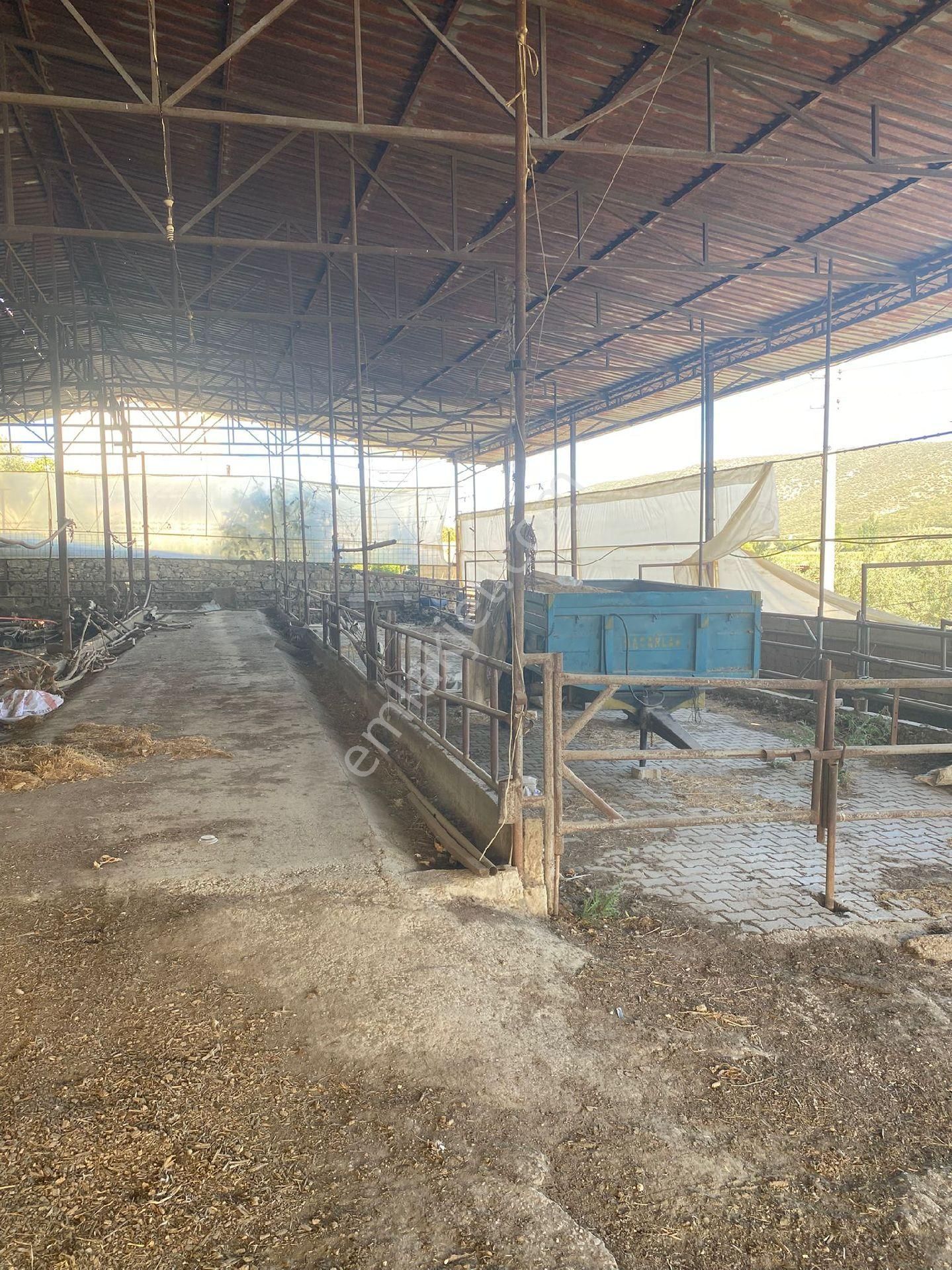 Satilik Arsa Kurşak Köyü - Görsel 5