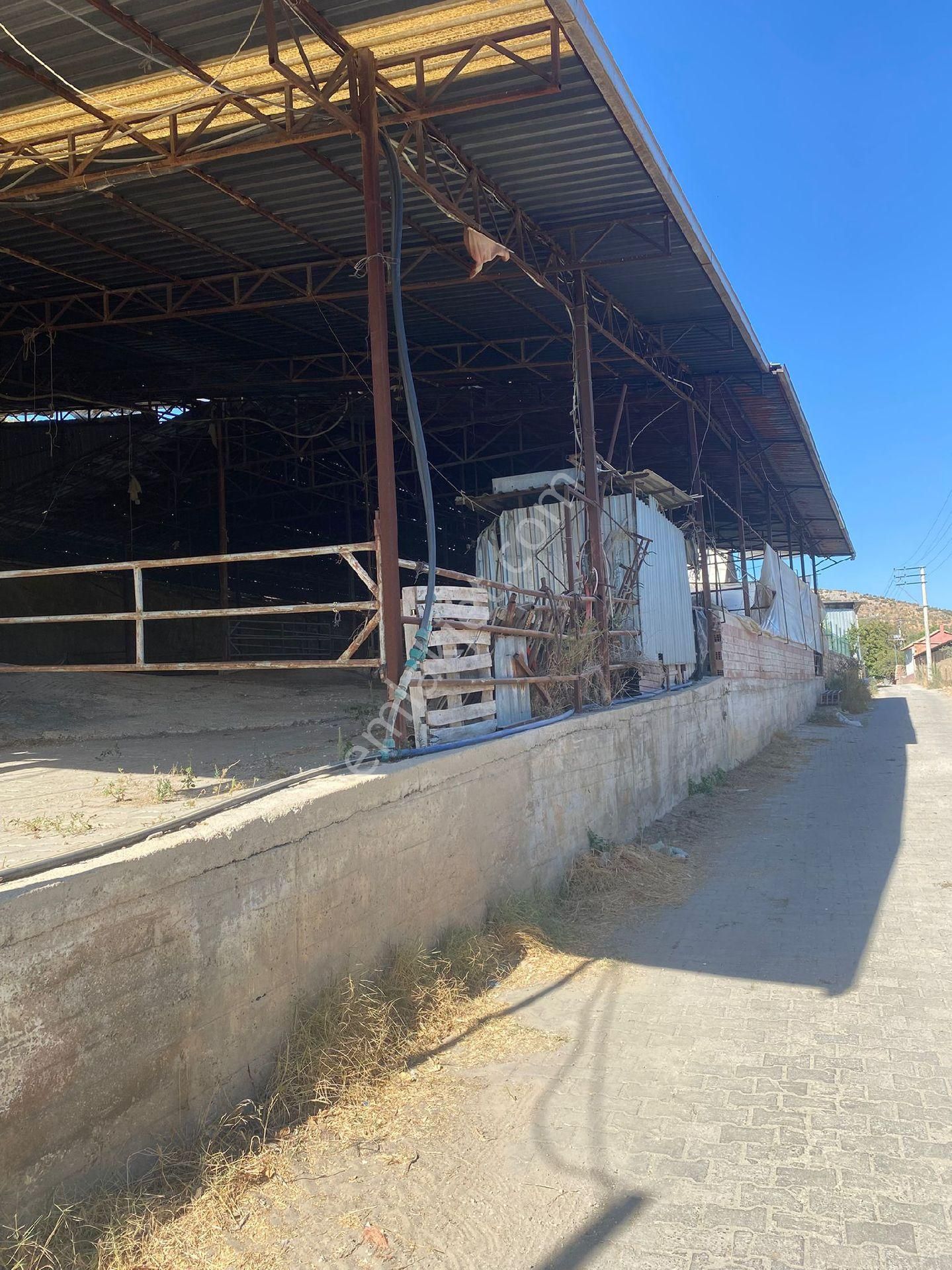 Satilik Arsa Kurşak Köyü - Görsel 16