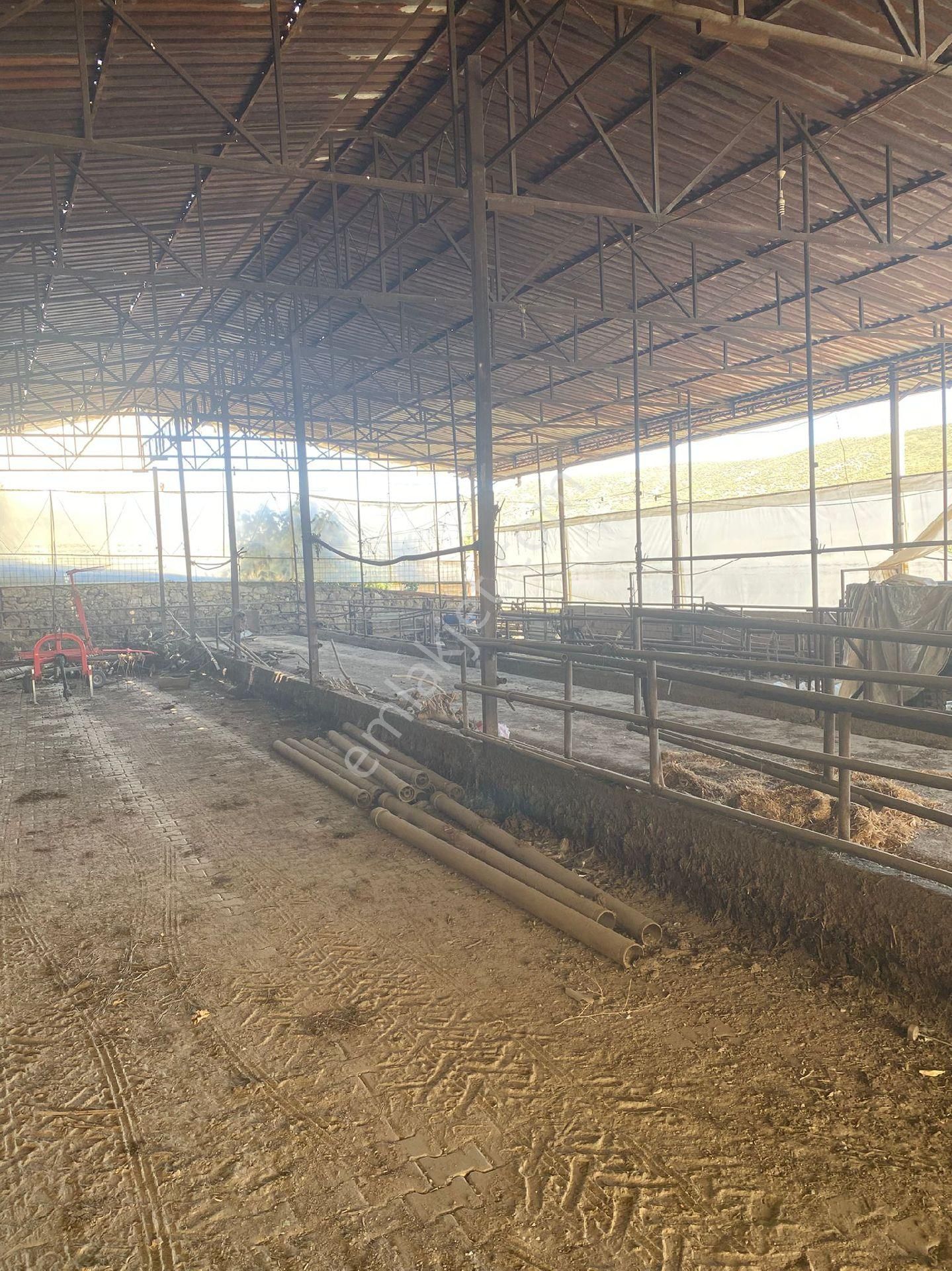 Satilik Arsa Kurşak Köyü - Görsel 14