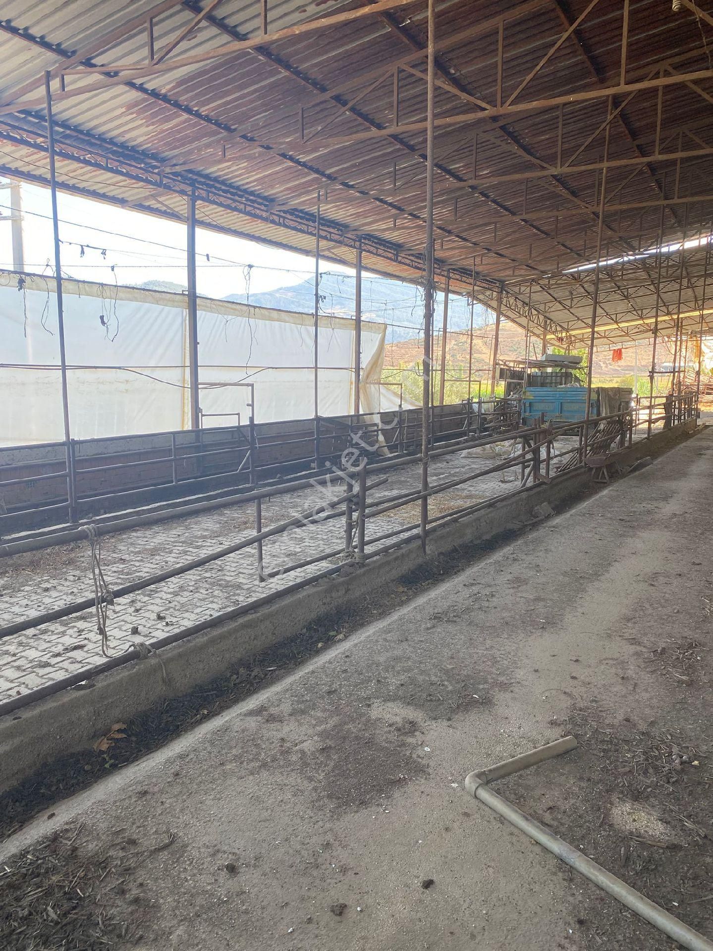 Satilik Arsa Kurşak Köyü - Görsel 8