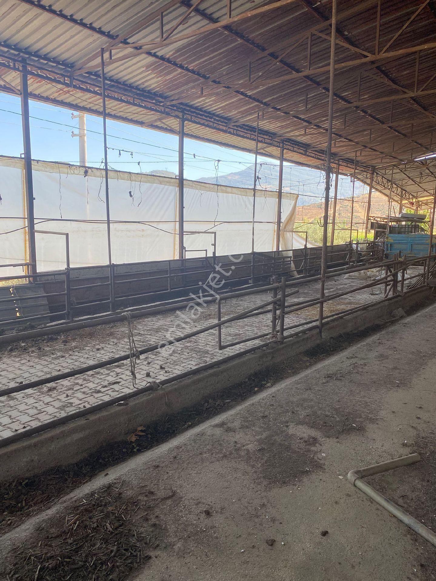 Satilik Arsa Kurşak Köyü - Görsel 7