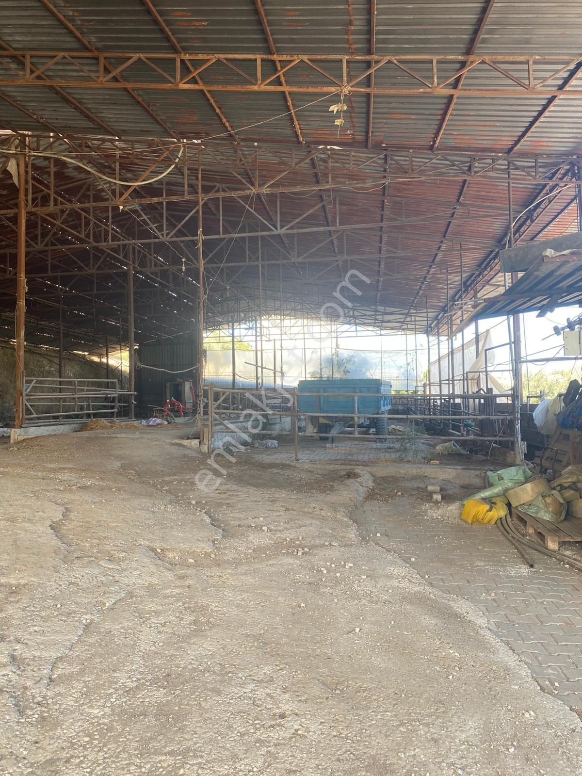 Satilik Arsa Kurşak Köyü - Görsel 20