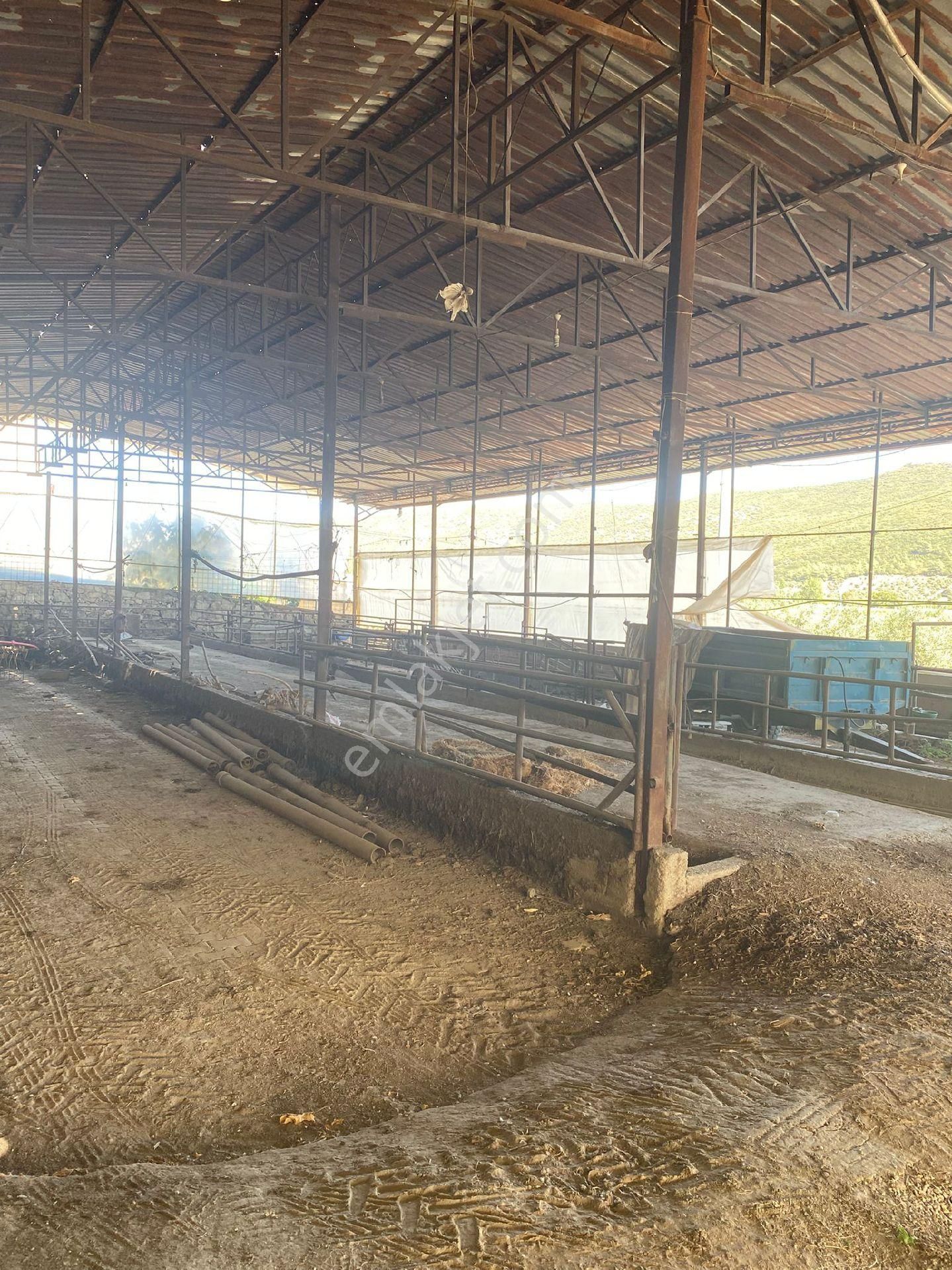 Satilik Arsa Kurşak Köyü - Görsel 10