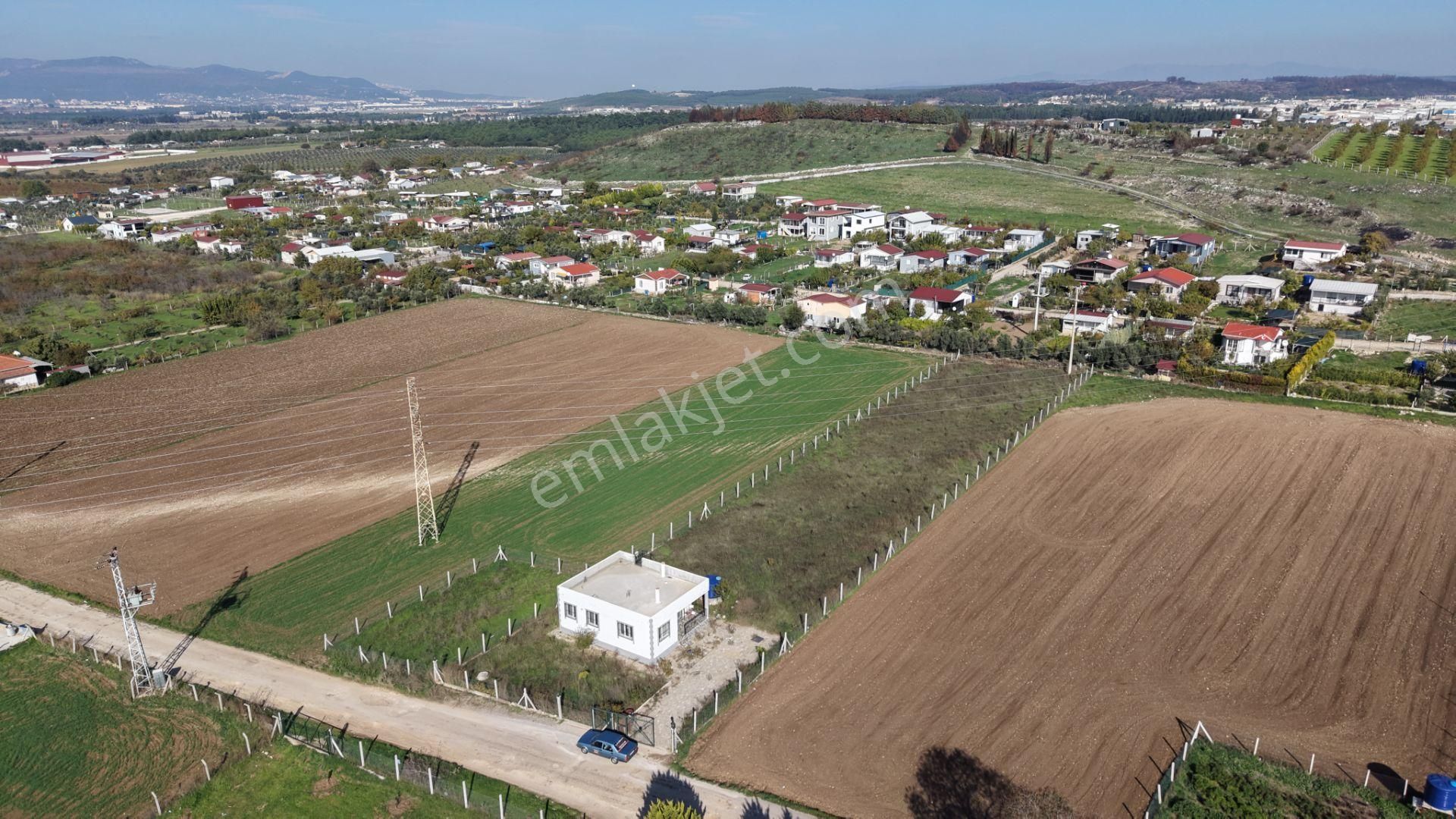 İzmir Oğlananasında Satılık 2.400 M2 Arazi 100 M2 Sıfır Ev Hazır Çiftlik - Görsel 11