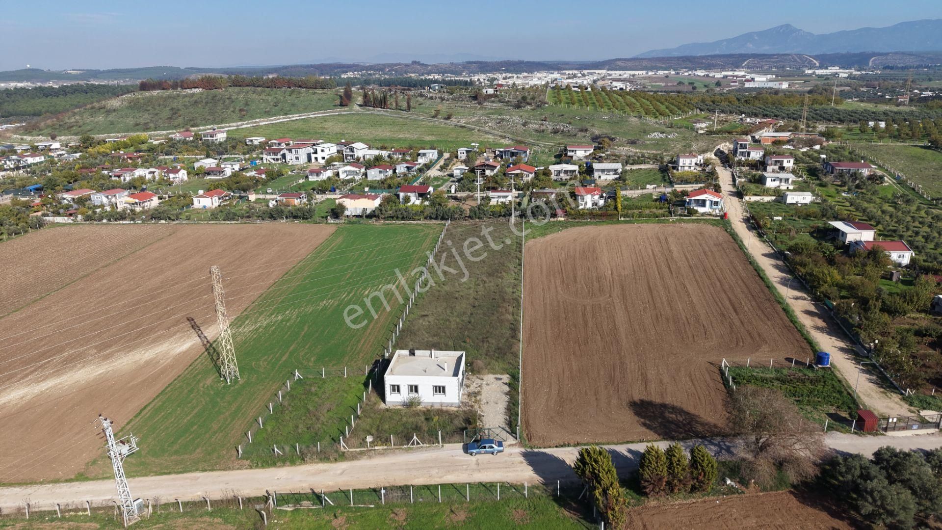 İzmir Oğlananasında Satılık 2.400 M2 Arazi 100 M2 Sıfır Ev Hazır Çiftlik