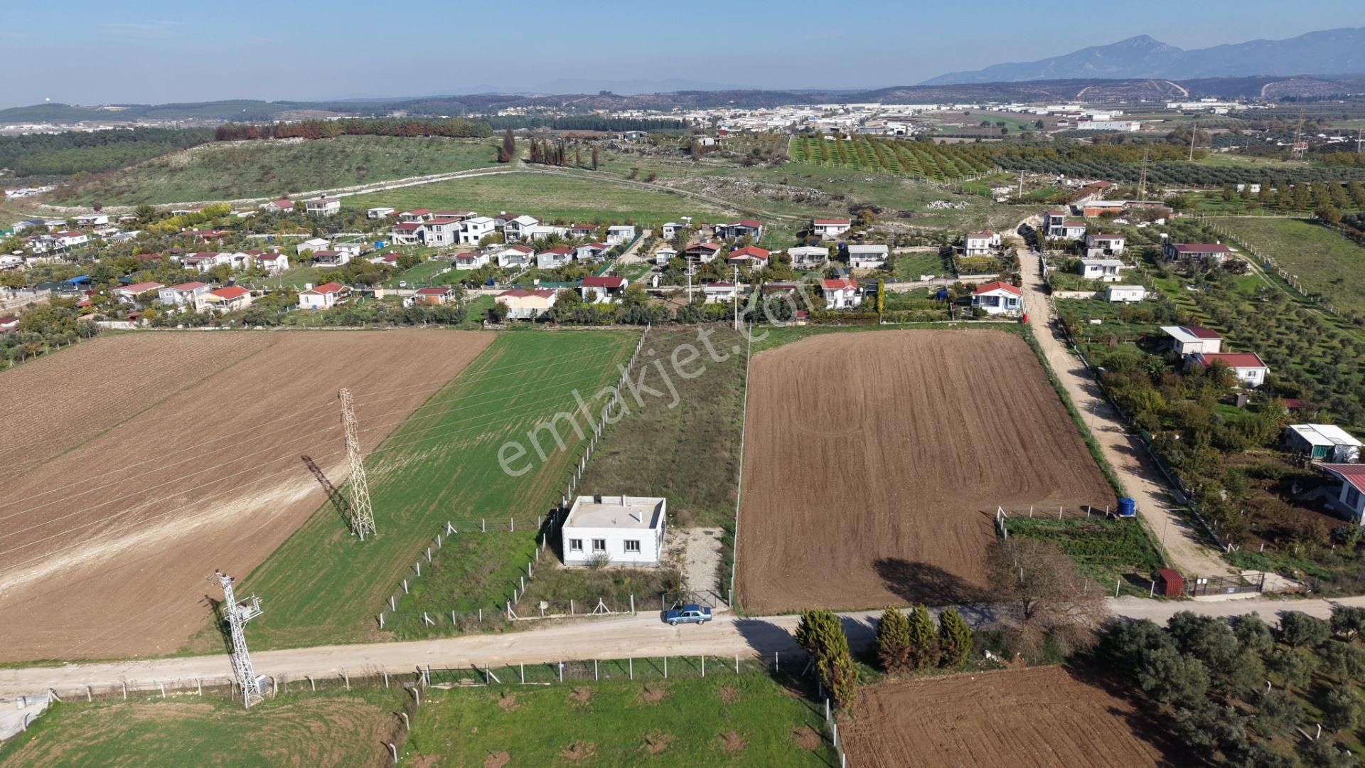 İzmir Oğlananasında Satılık 2.400 M2 Arazi 100 M2 Sıfır Ev Hazır Çiftlik - Görsel 2