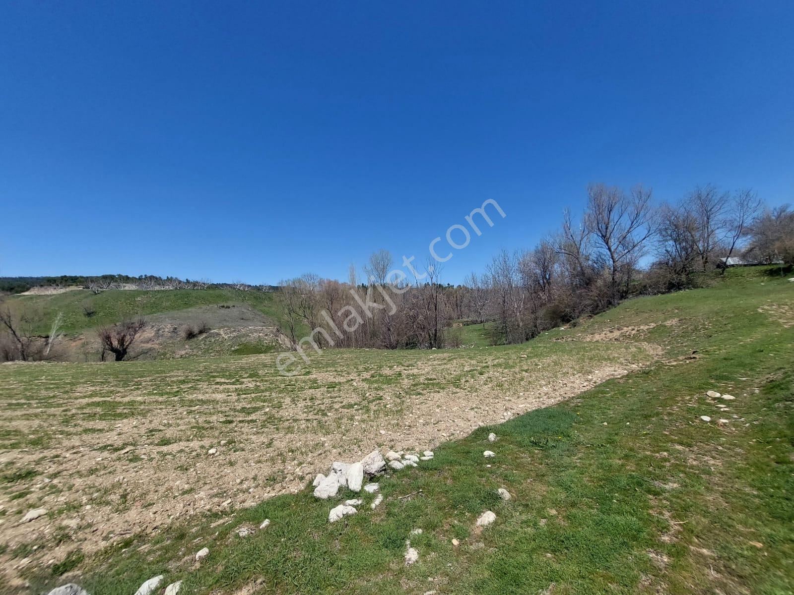 Çameli Cevizli De 750 M2 Mustakil %20/40 İmarlı Arsalar Satılık