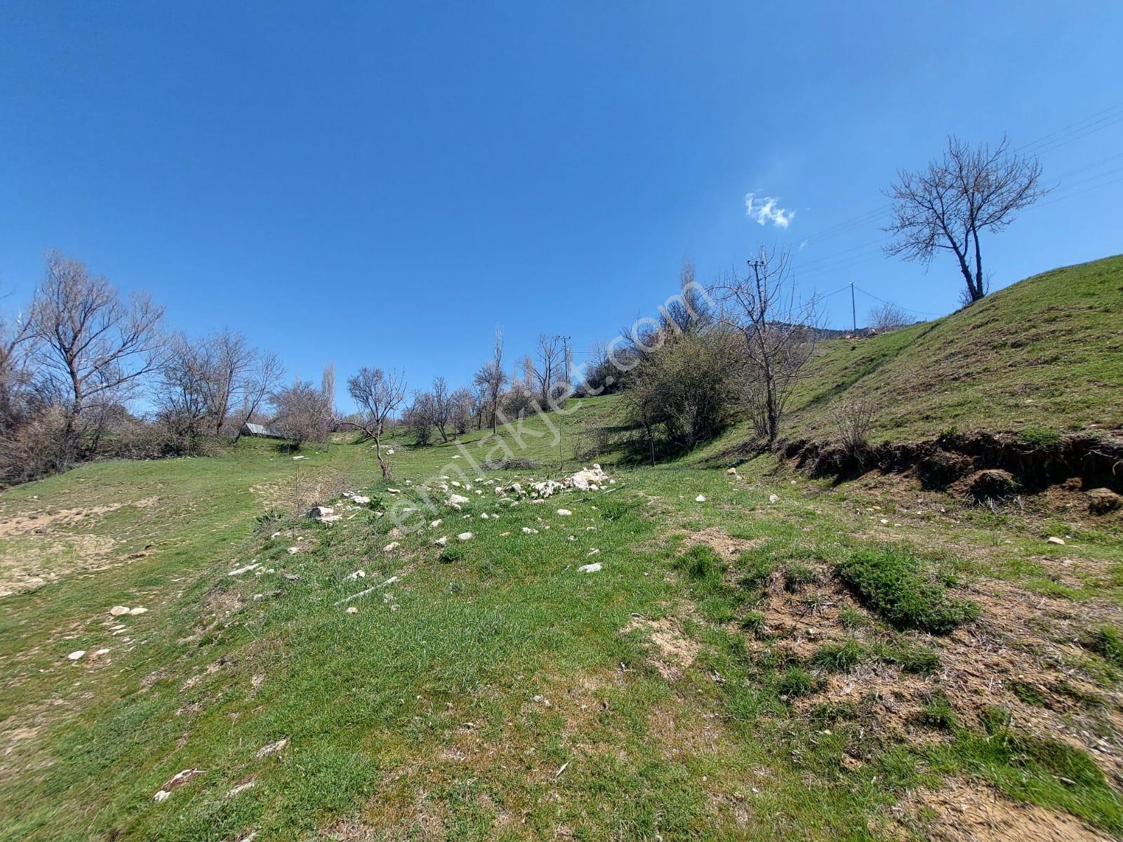 Çameli Cevizli De 750 M2 Mustakil %20/40 İmarlı Arsalar Satılık - Görsel 6