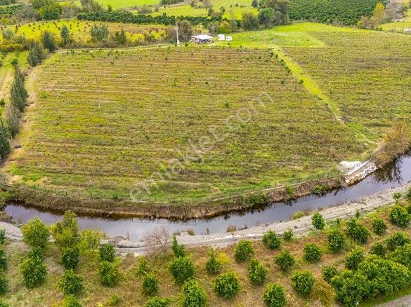Köyceğiz Toparlarda Satılık Müstakil Tapulu 40 Dönüm Tarla - Görsel 9