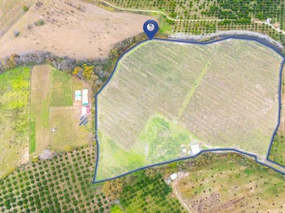 Köyceğiz Toparlarda Satılık Müstakil Tapulu 40 Dönüm Tarla