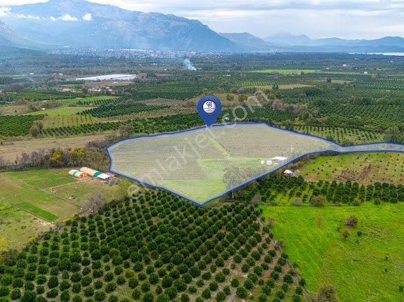 Köyceğiz Toparlarda Satılık Müstakil Tapulu 40 Dönüm Tarla - Görsel 2