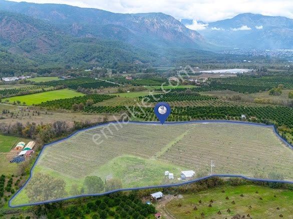 Köyceğiz Toparlarda Satılık Müstakil Tapulu 40 Dönüm Tarla - Görsel 3
