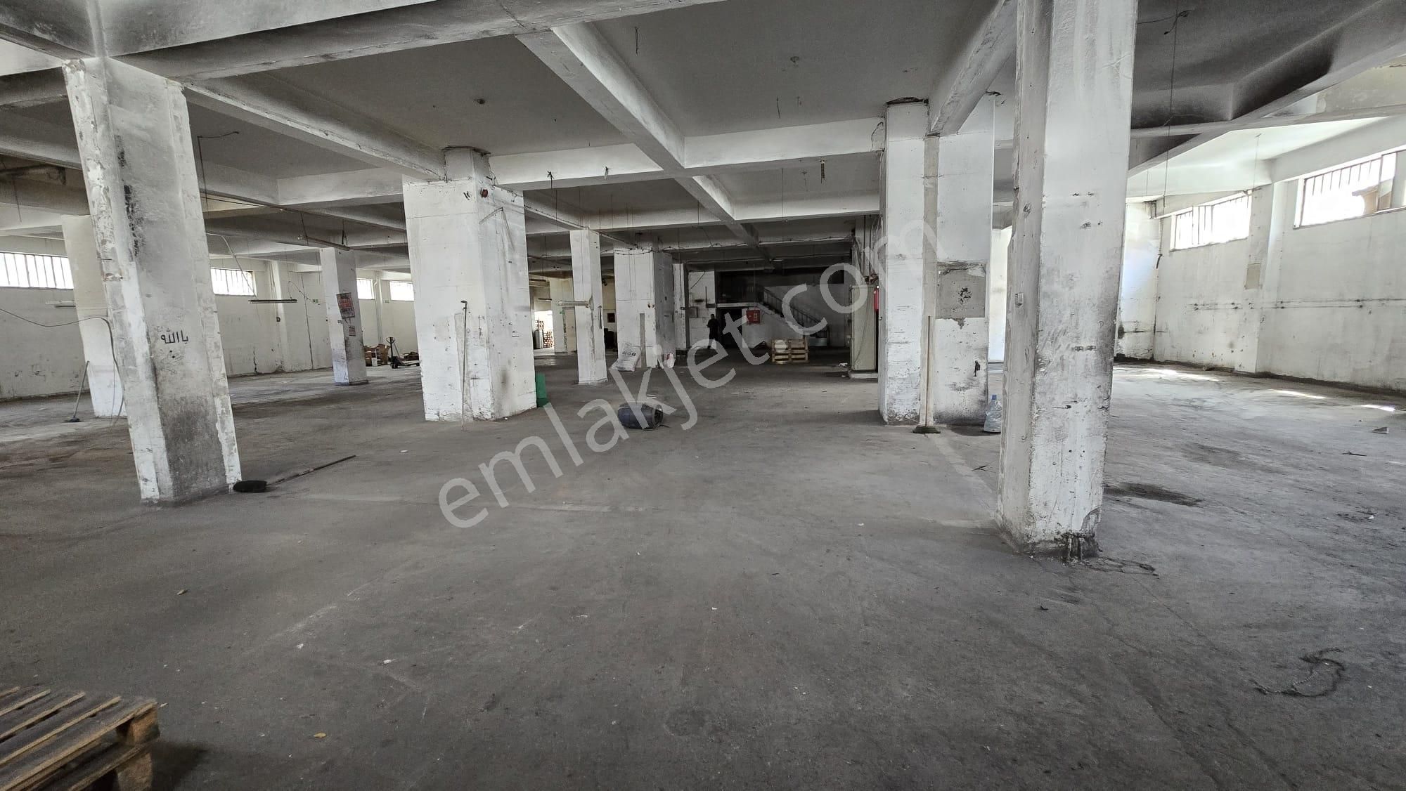 Beylikdüzü O.s.b. Kiralık 3.250m² Giriş Kat Fabrika, İmalathane, Depo - Görsel 3