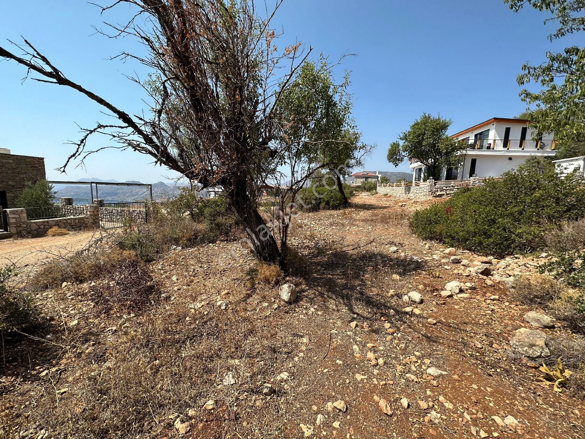 Joker: Söğüt Deniz Manzaralı Villa Bölgesinde Satılık Tarla - Görsel 6