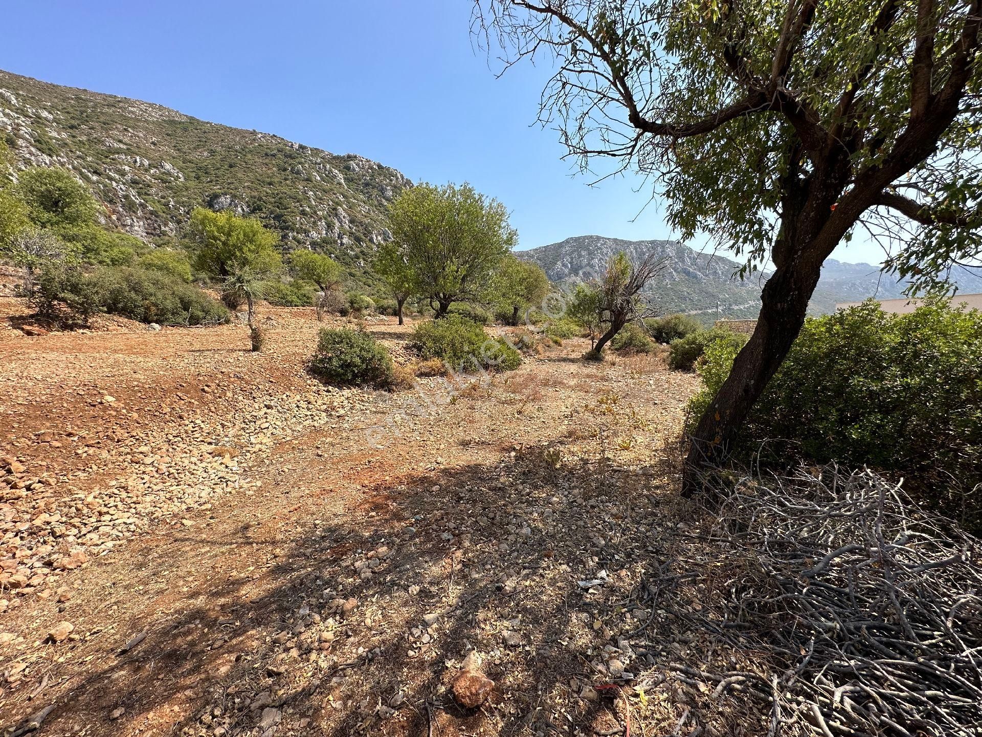 Joker: Söğüt Deniz Manzaralı Villa Bölgesinde Satılık Tarla - Görsel 14