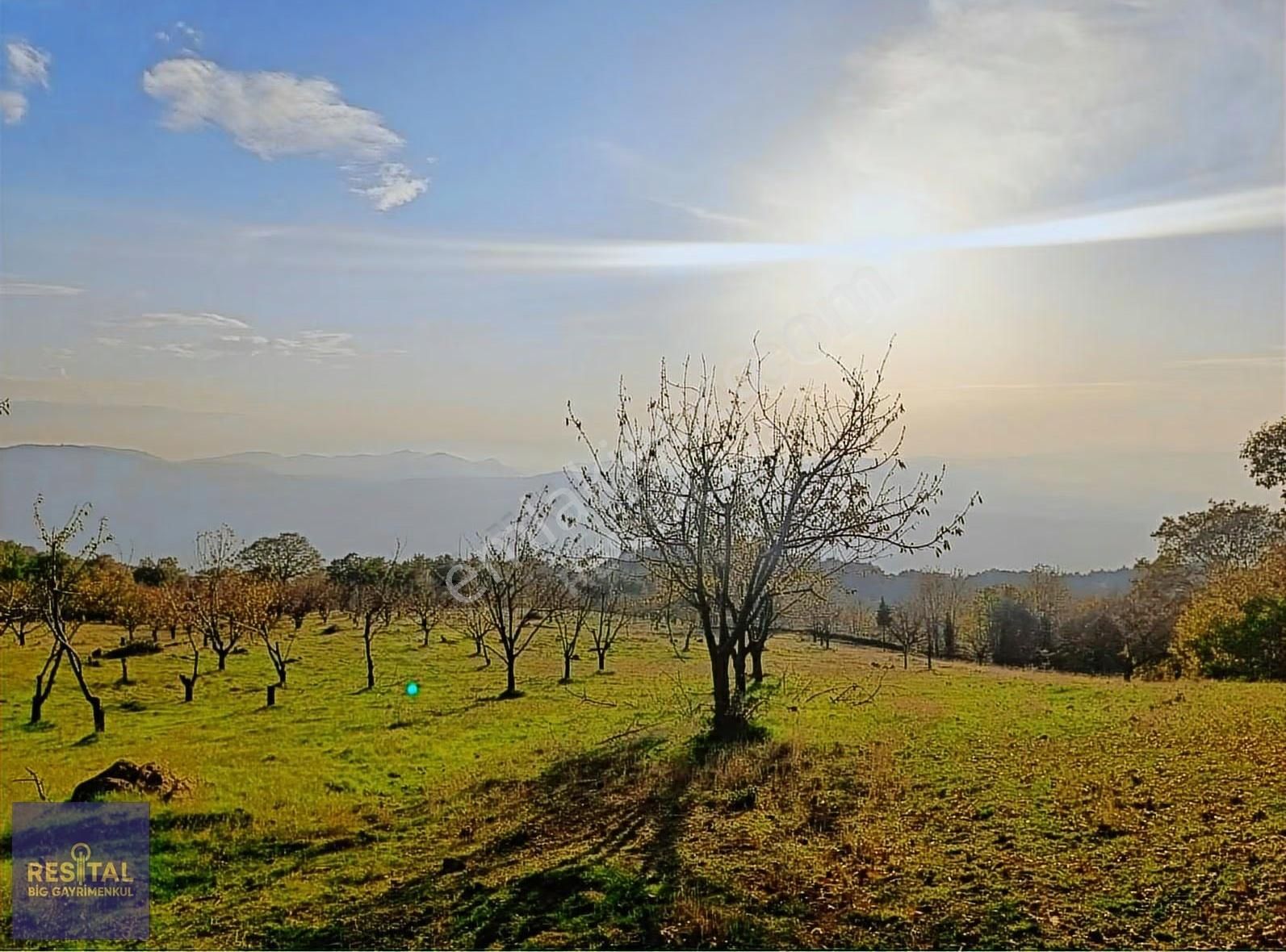 Gemlik Katırlı Mh 16302m² Satılık Arsa Resital Big Gayrimenkulde - Görsel 9