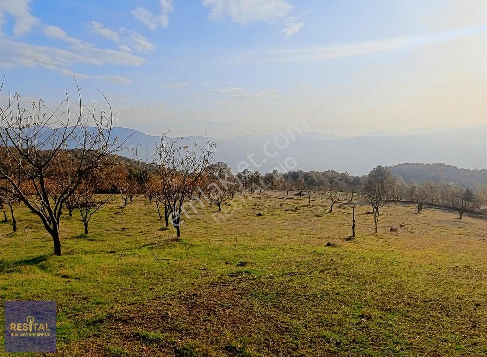 Gemlik Katırlı Mh 16302m² Satılık Arsa Resital Big Gayrimenkulde - Görsel 4
