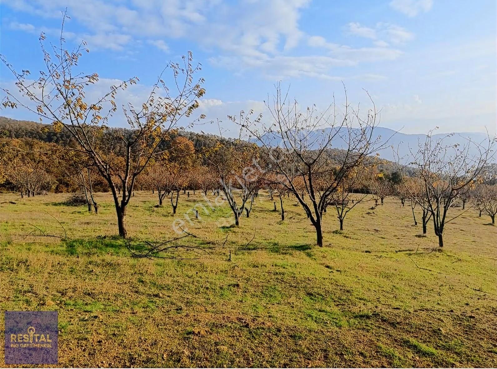 Gemlik Katırlı Mh 16302m² Satılık Arsa Resital Big Gayrimenkulde