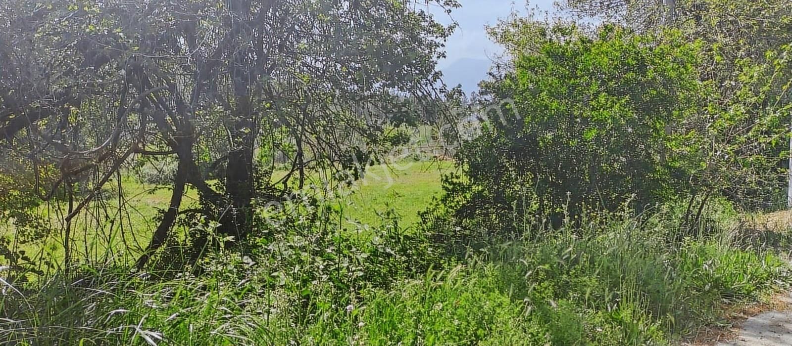 Kayadibi Mah. 1636 M² Satilik Arsa - Görsel 11