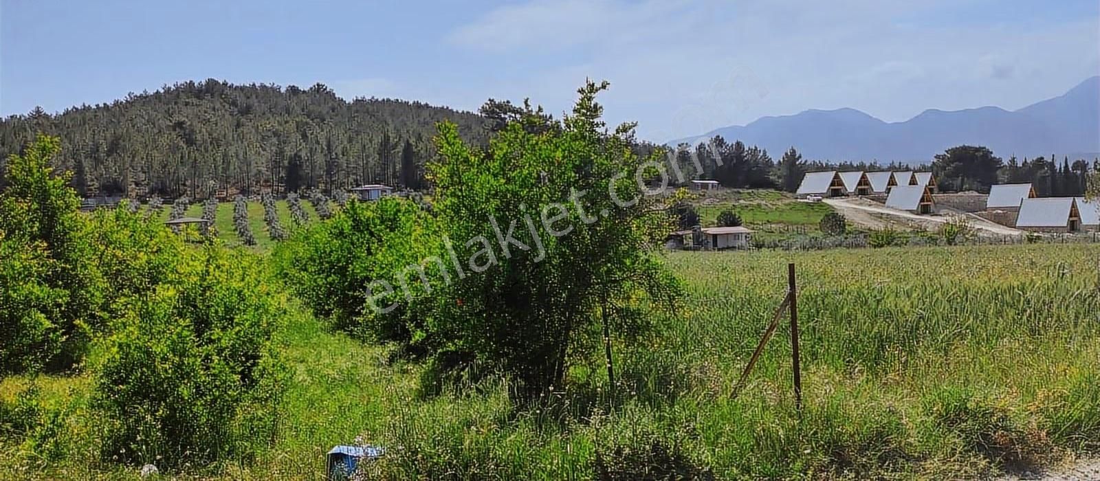 Kayadibi Mah. 1636 M² Satilik Arsa - Görsel 2