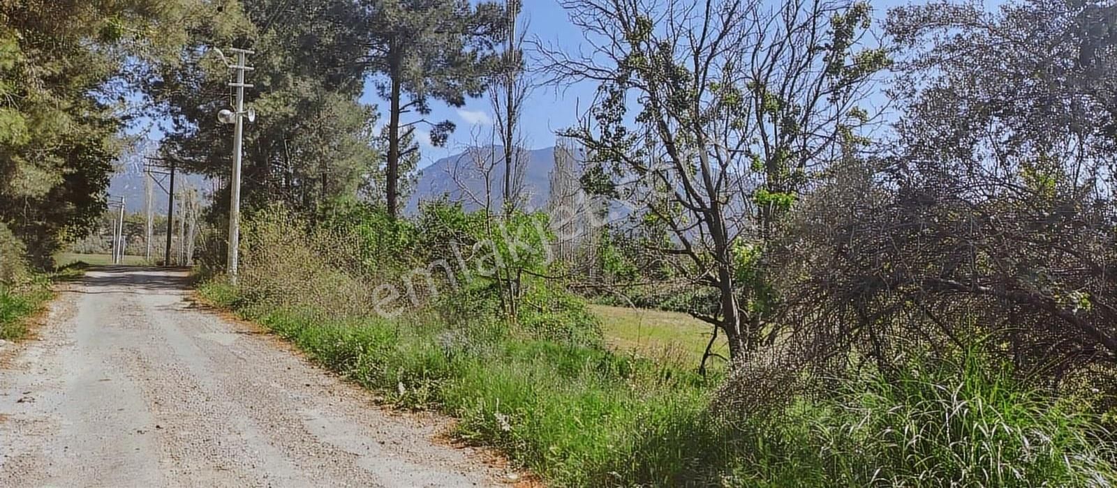 Kayadibi Mah. 1636 M² Satilik Arsa - Görsel 9