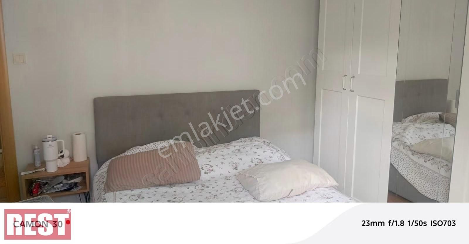 Siracevizler - Görsel 4