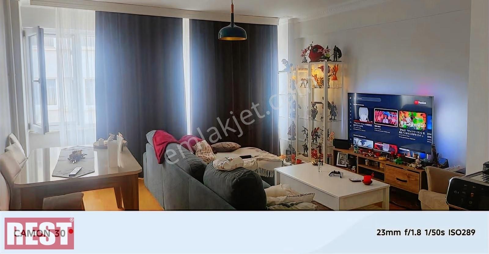 Siracevizler - Görsel 6