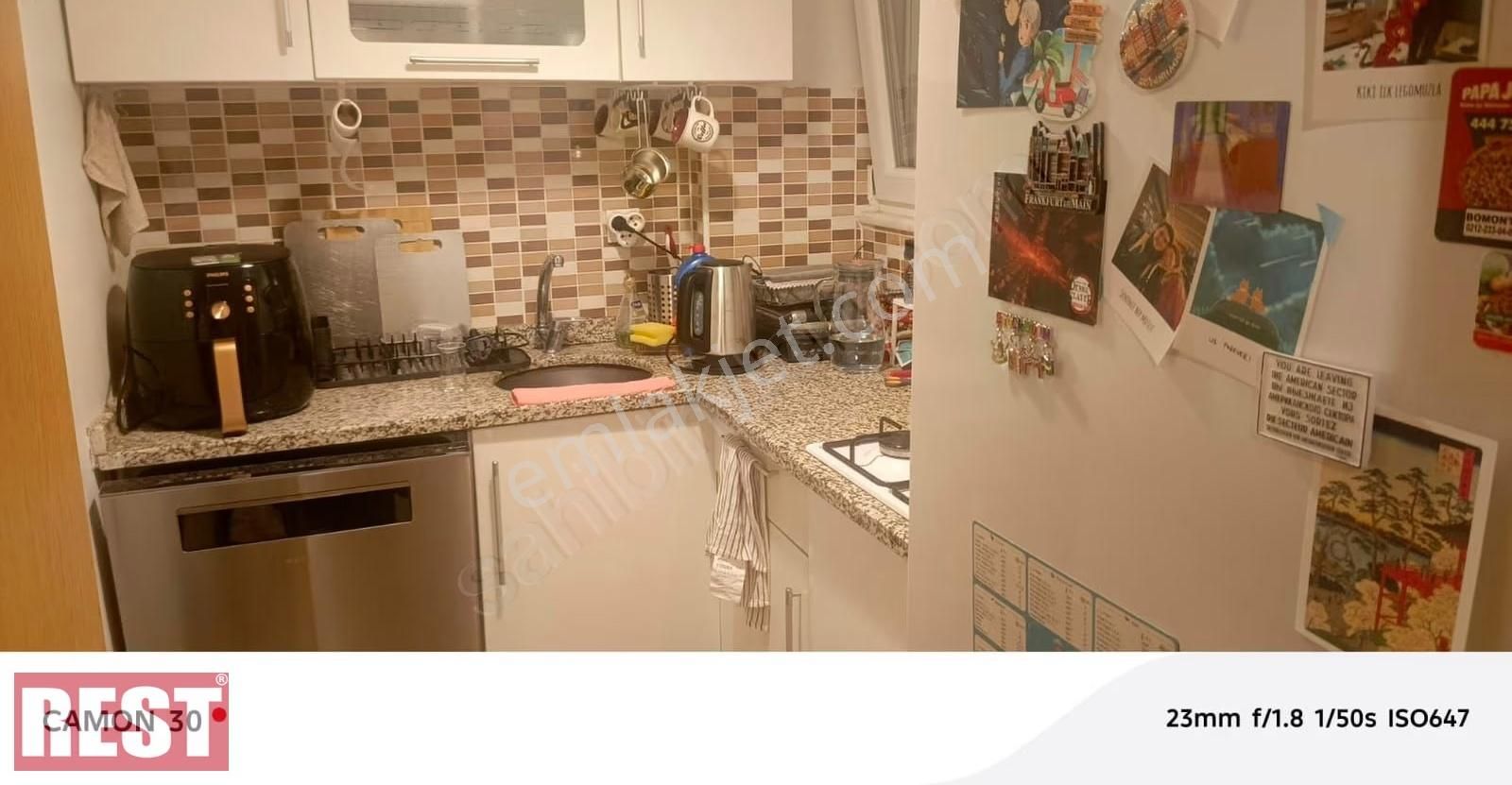 Siracevizler - Görsel 3