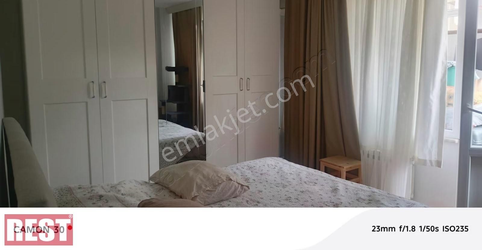 Siracevizler - Görsel 12