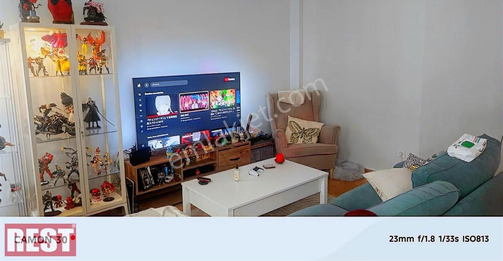 Siracevizler - Görsel 8