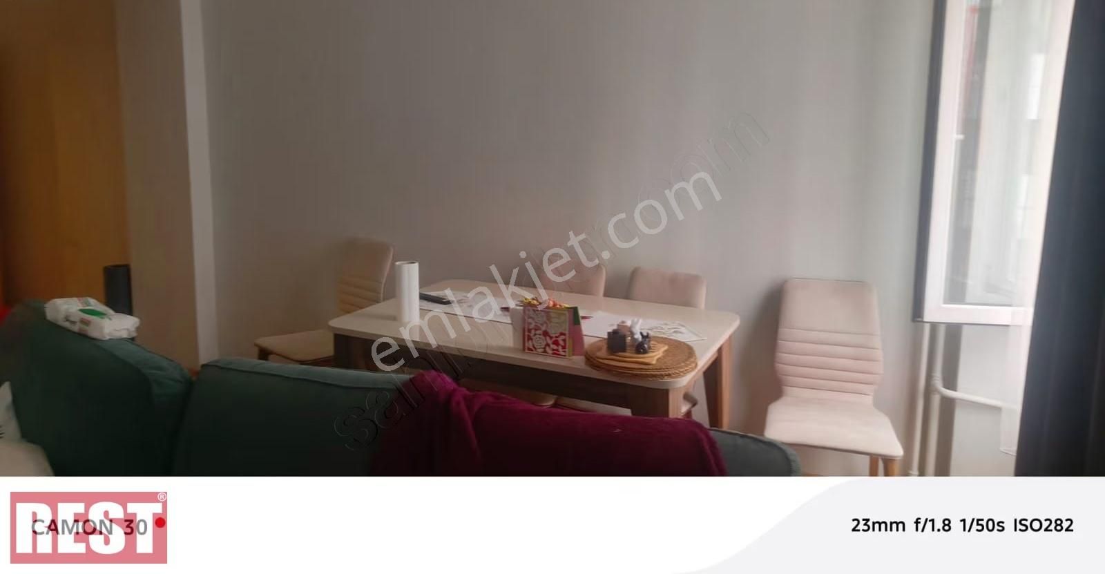 Siracevizler - Görsel 9