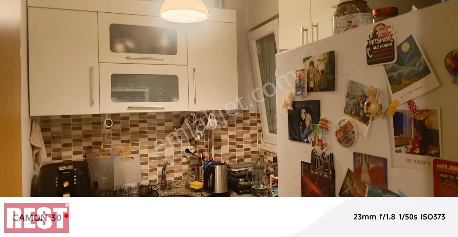 Siracevizler - Görsel 10