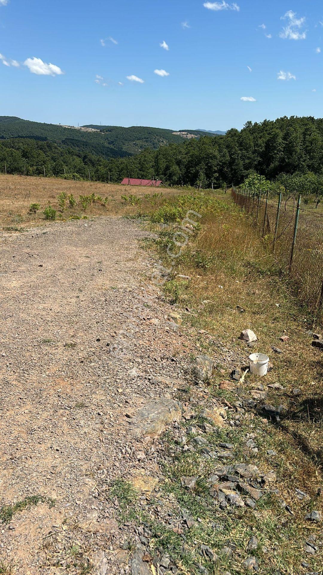 Kocaeli Körfez Kalburcu Da Satılık 2775 Metrekare İmarı Olan Arsasatılık - Görsel 30