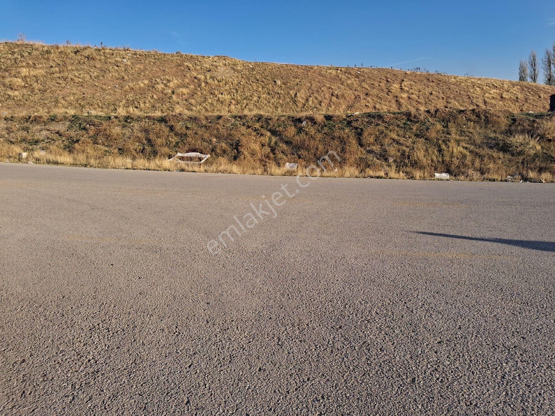 Karapürçek Uzunburunda 460m2 Tek Tapu Mustakil Köşe Parsel - Görsel 27