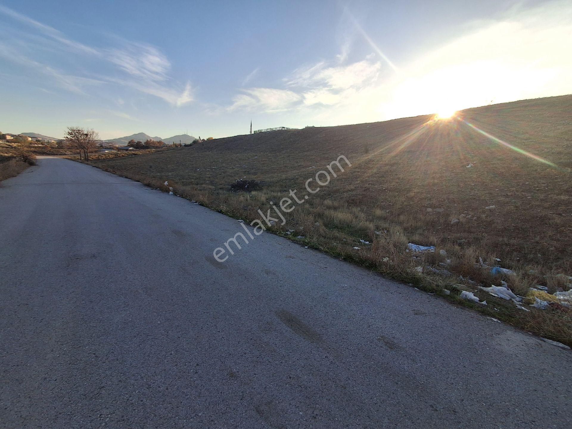 Karapürçek Uzunburunda 460m2 Tek Tapu Mustakil Köşe Parsel - Görsel 2
