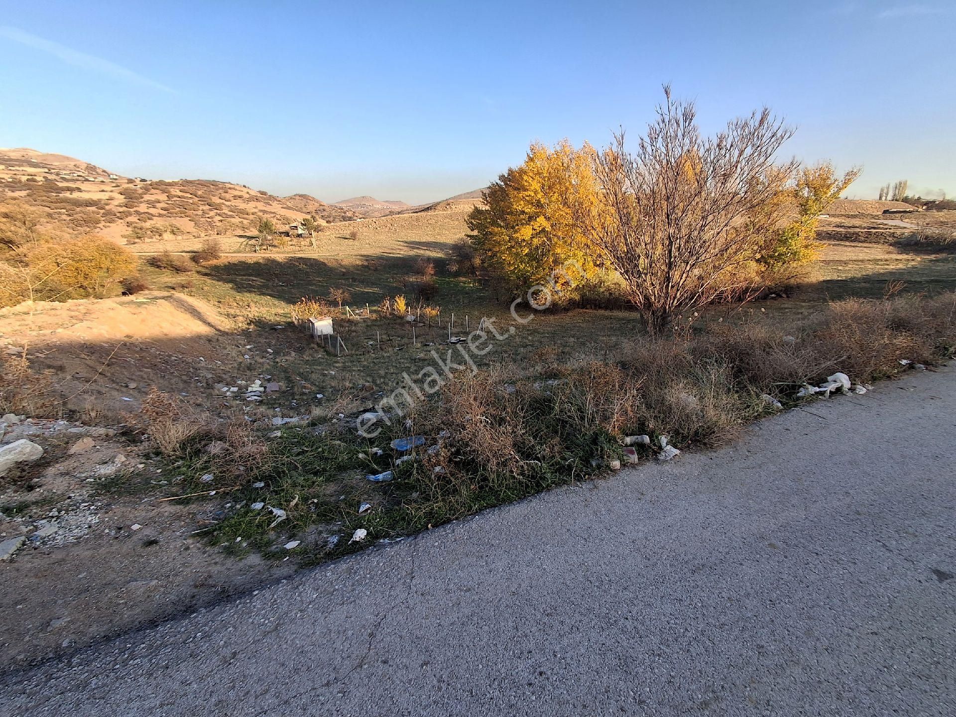 Karapürçek Uzunburunda 460m2 Tek Tapu Mustakil Köşe Parsel - Görsel 5