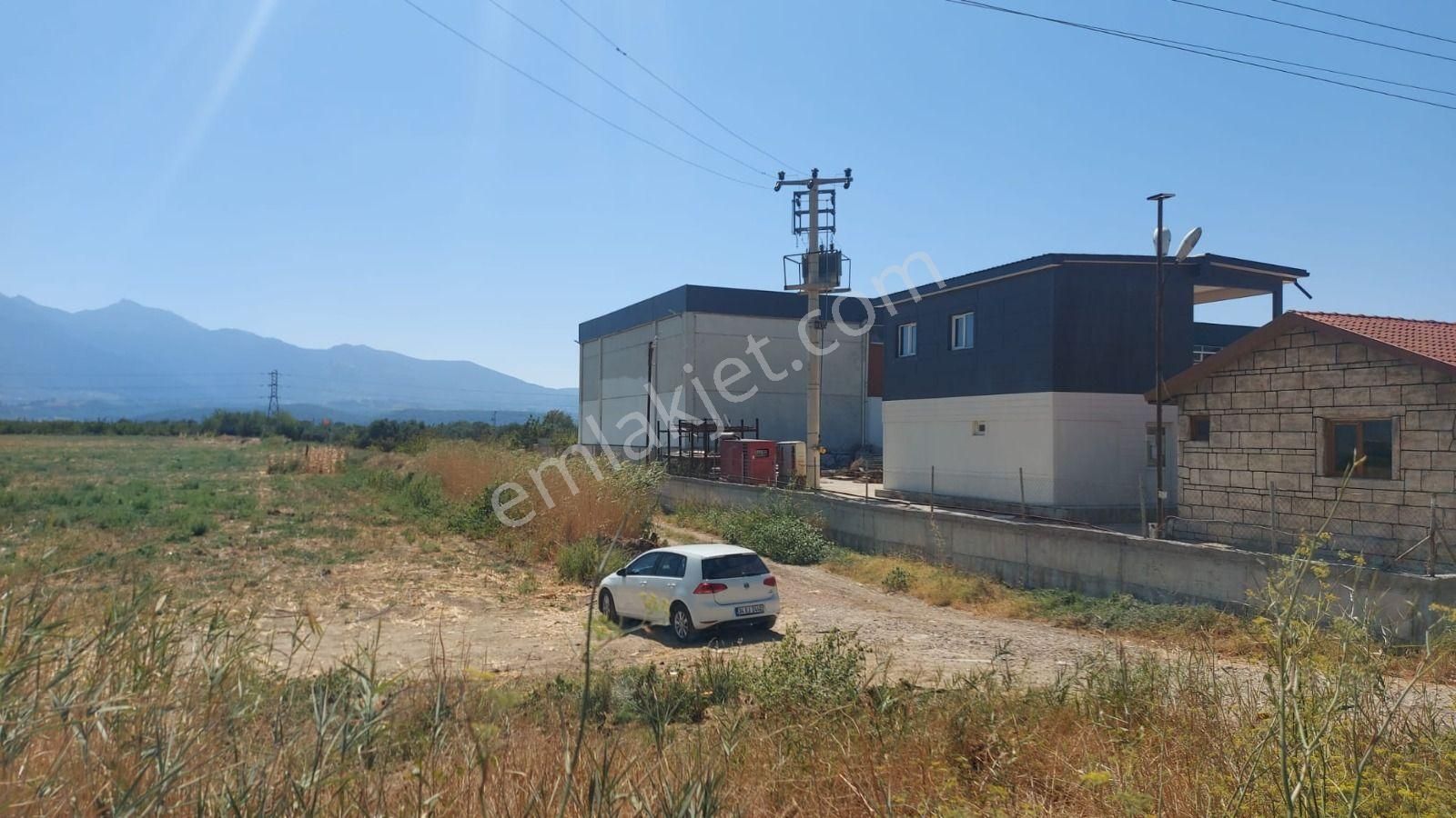 Kemalpaşa Çambel’de 4306 M² Avantajlı Bağ Arazisi – Yatırıma Uygun Konumda! - Görsel 4
